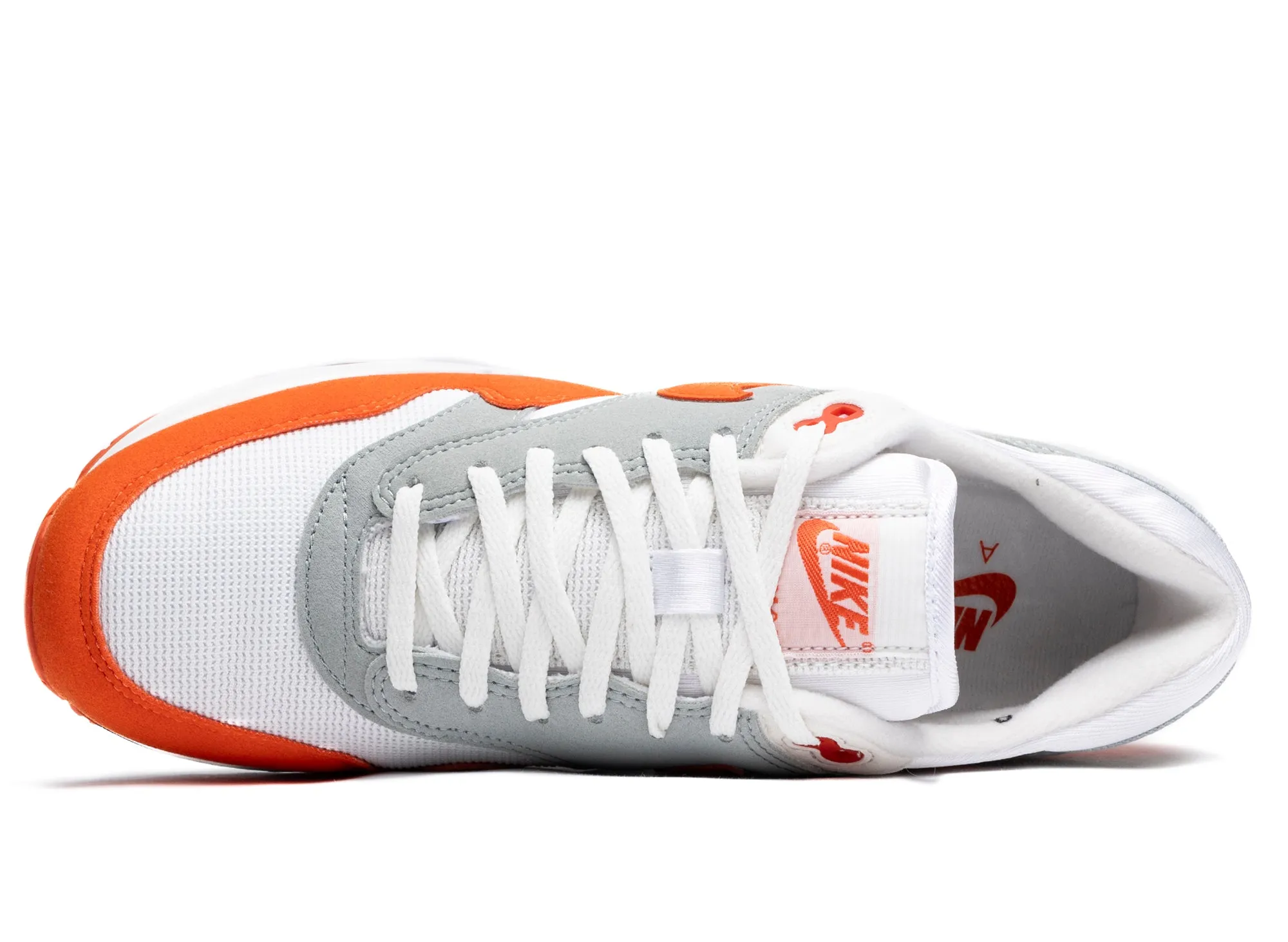 Nike Air Max 1 '86 OG Cold Guard Rock Guard