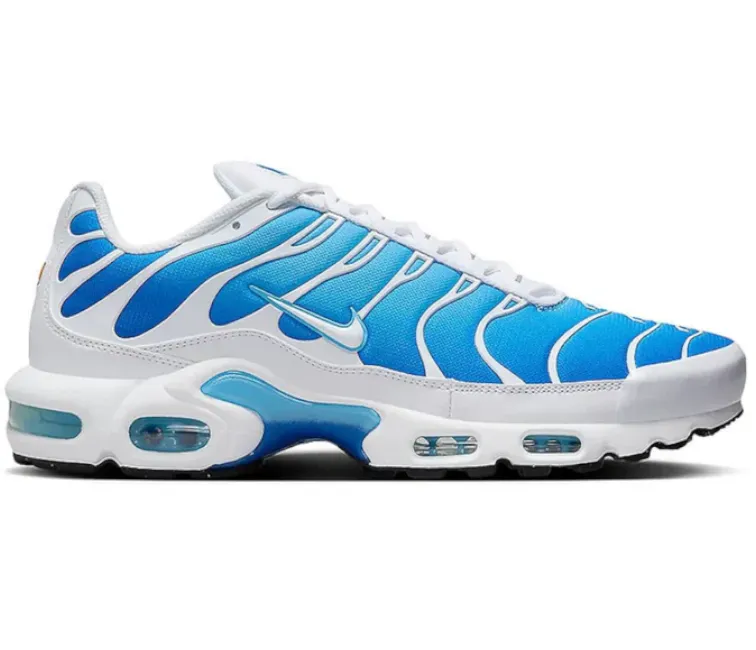Motion Control Frame Freedom Move Men's Nike Air Max Plus TN (Battle Blue)