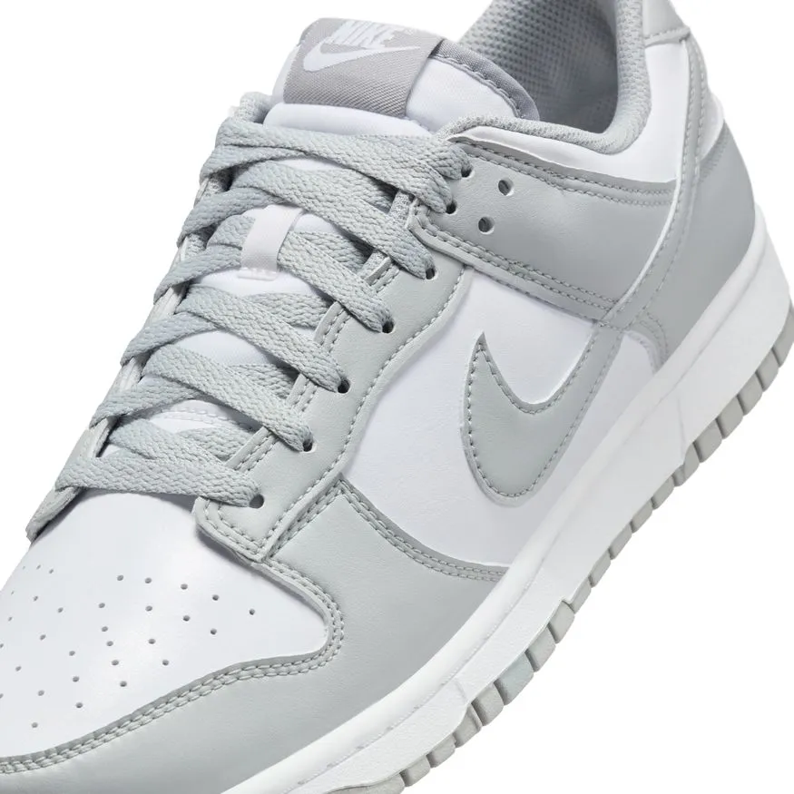 M Nike Dunk Low Retro HF5441-105 All Weather Everyday Users