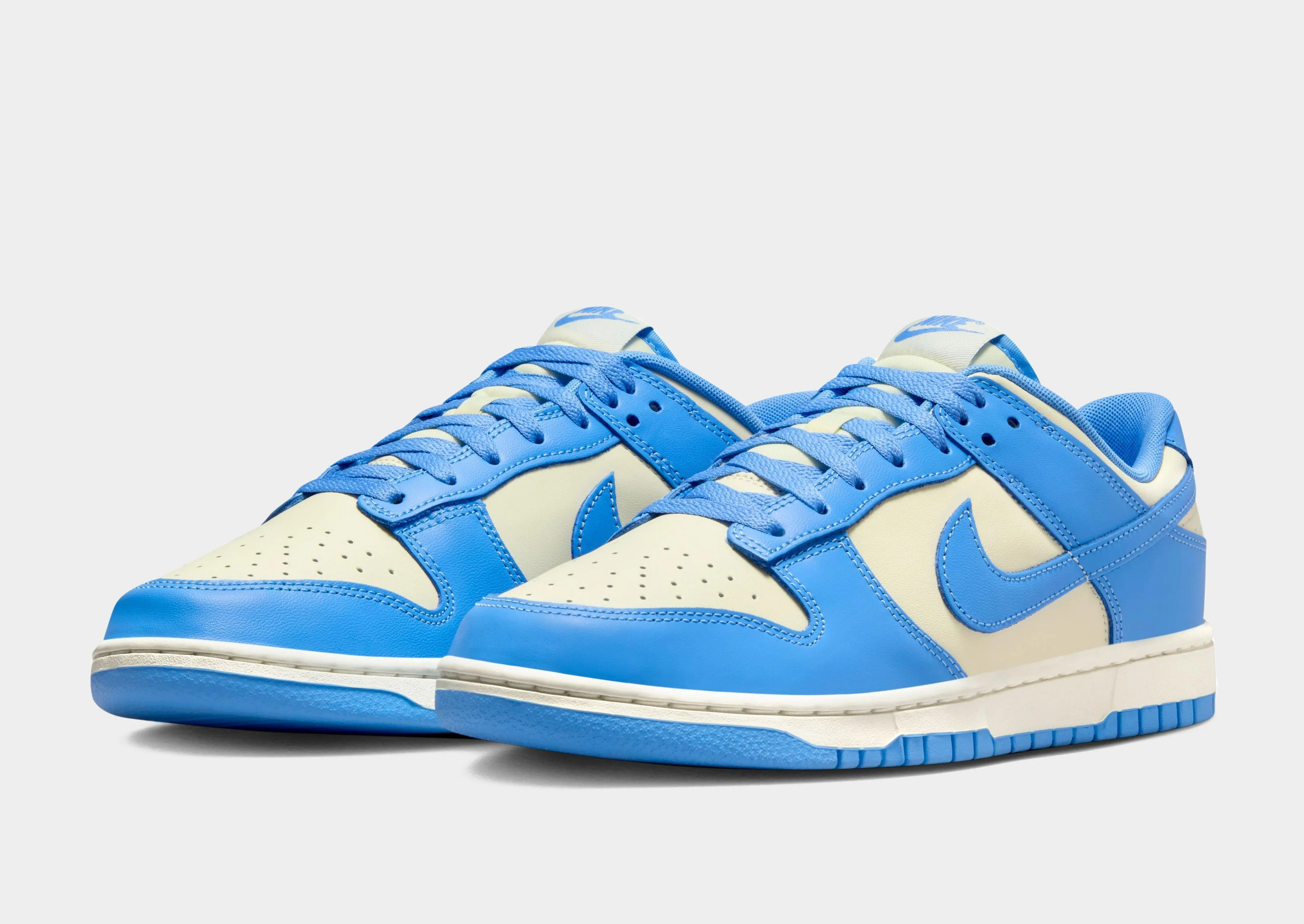 Dunk Low Retro Travel Snap