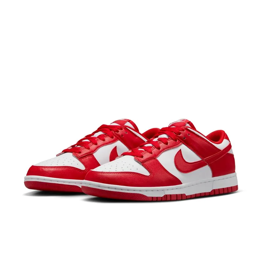 Leg Slim W Nike Dunk Low Next Nature DD1873-116
