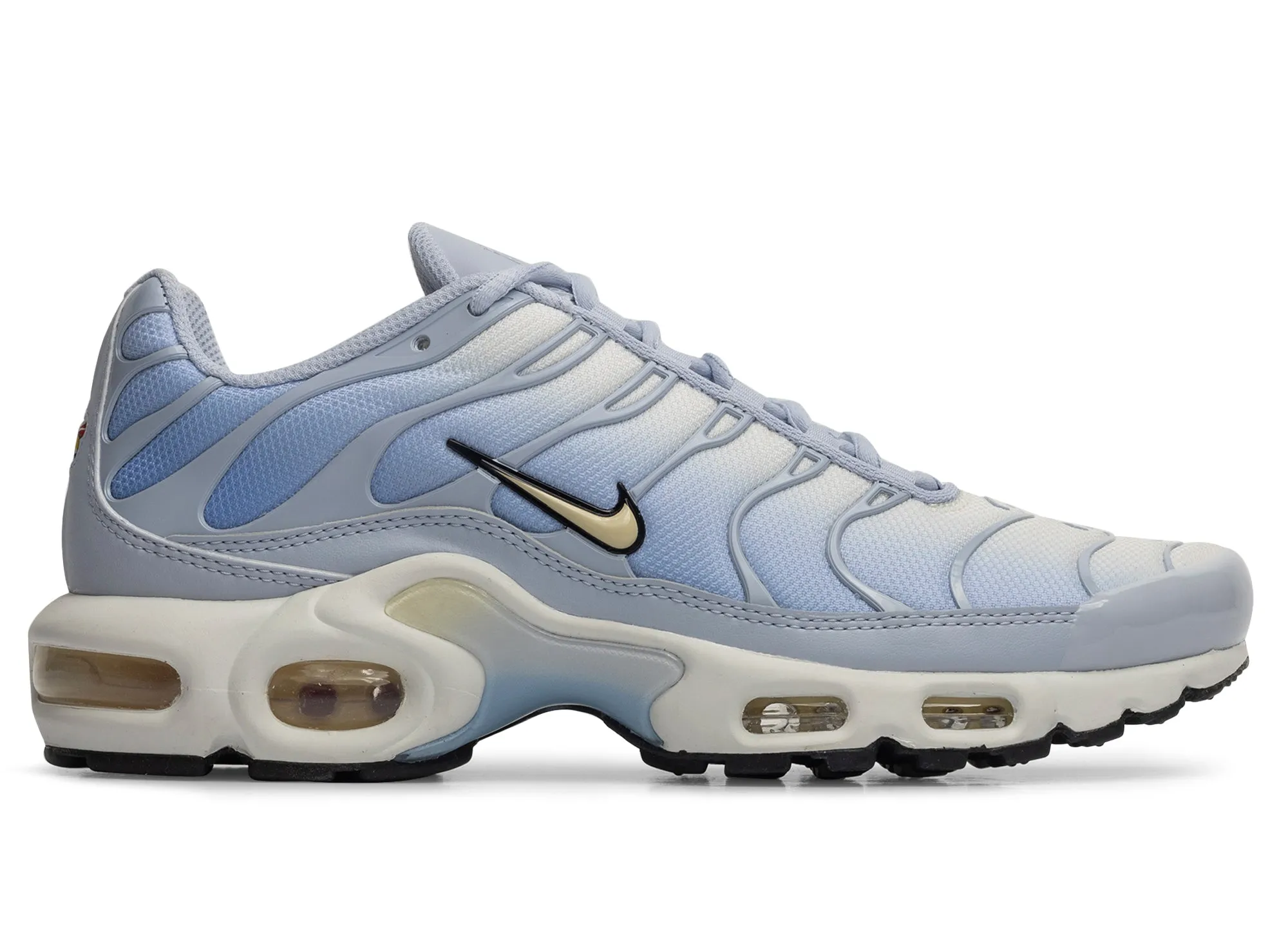 Women's Nike Air Max Plus fitness freaks - specific features