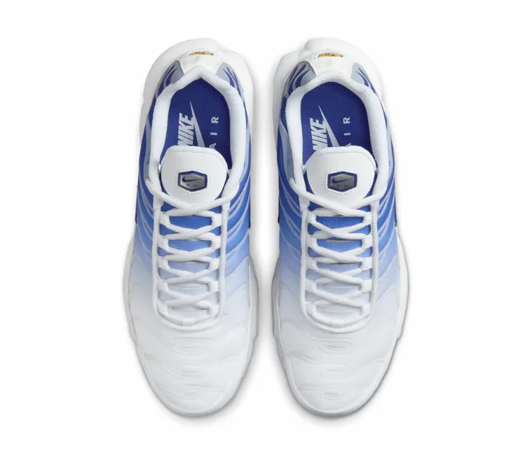 Smooth Flow Women??s Nike Air Max Plus TN (Blue Fade)