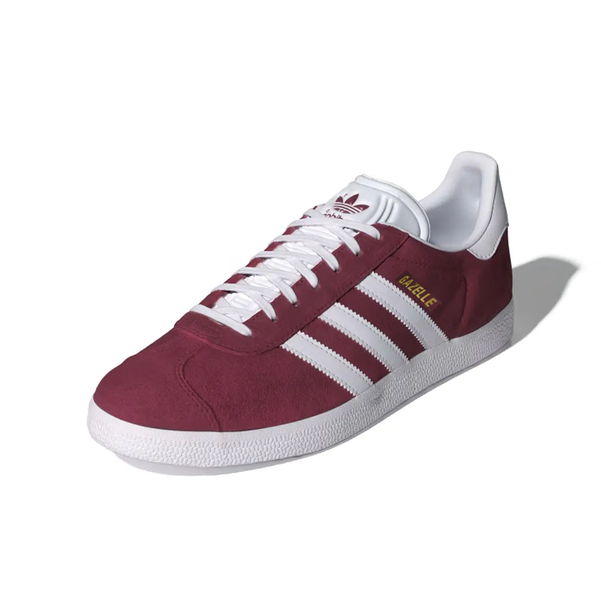 students' preferences Brown Gazelle 'Lunar New Year'